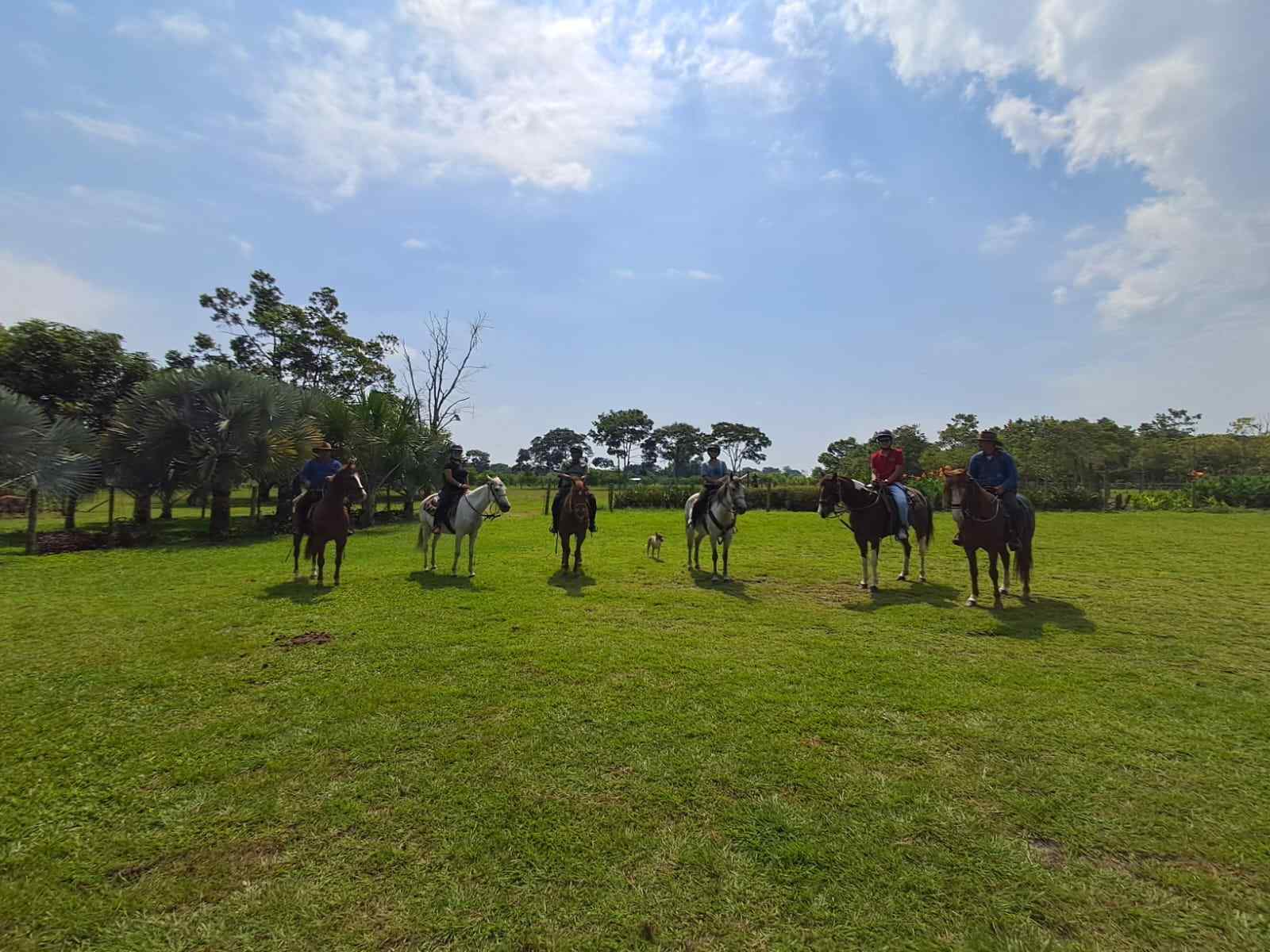 Carousel Image 6